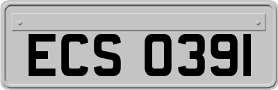 ECS0391