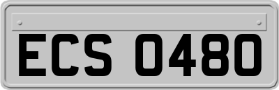 ECS0480