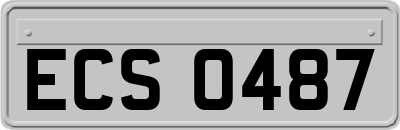 ECS0487