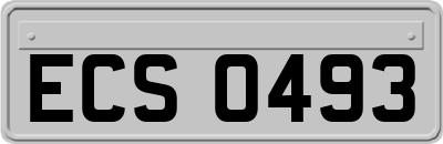 ECS0493