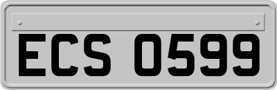 ECS0599