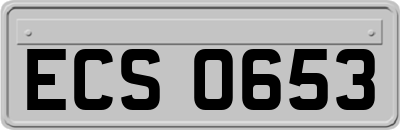 ECS0653