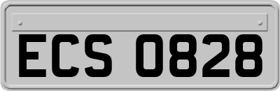 ECS0828