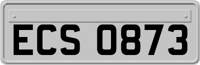 ECS0873