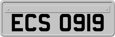 ECS0919