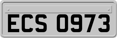 ECS0973
