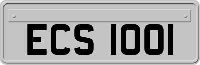 ECS1001