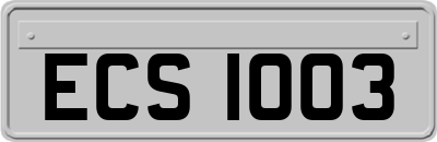 ECS1003
