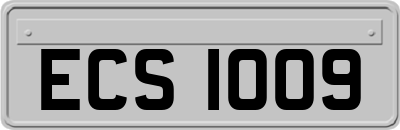 ECS1009