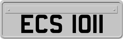 ECS1011