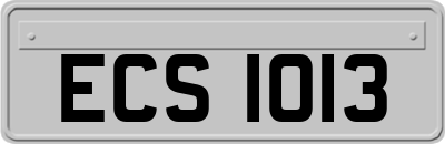 ECS1013