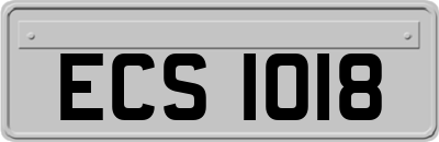 ECS1018