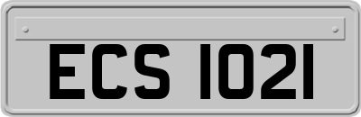 ECS1021