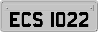 ECS1022