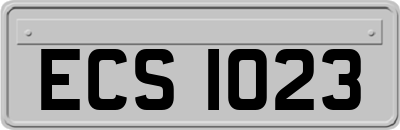 ECS1023