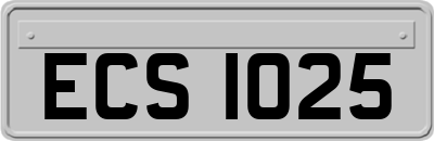 ECS1025