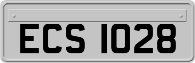ECS1028