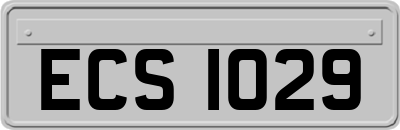 ECS1029