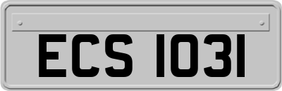 ECS1031