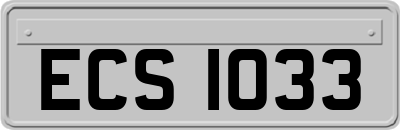 ECS1033