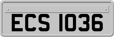 ECS1036