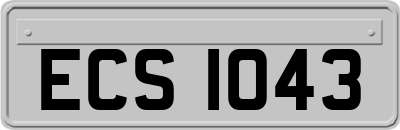 ECS1043