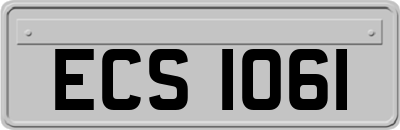 ECS1061