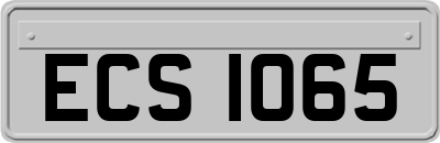 ECS1065