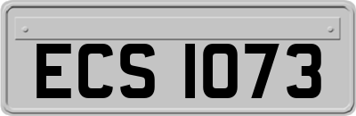 ECS1073