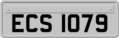 ECS1079