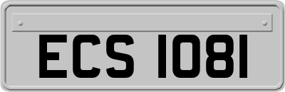 ECS1081
