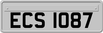 ECS1087
