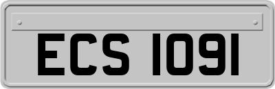 ECS1091