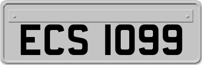 ECS1099