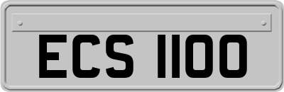 ECS1100