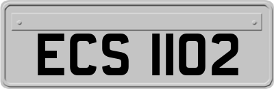 ECS1102