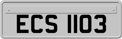 ECS1103