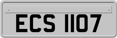ECS1107