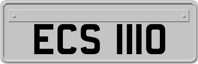 ECS1110