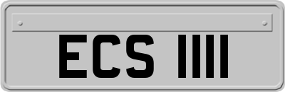 ECS1111