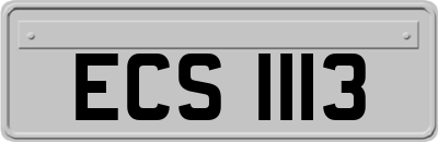 ECS1113