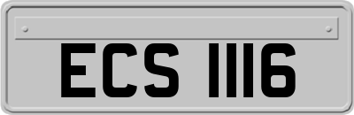 ECS1116