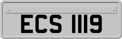 ECS1119