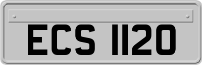 ECS1120