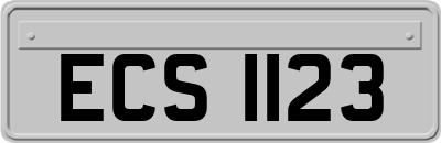 ECS1123