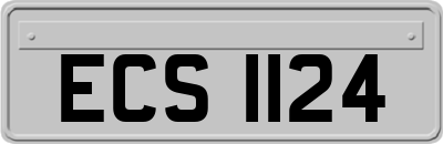 ECS1124