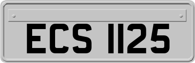 ECS1125