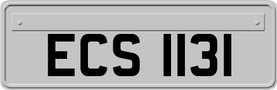 ECS1131