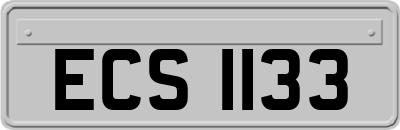 ECS1133
