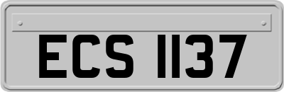ECS1137